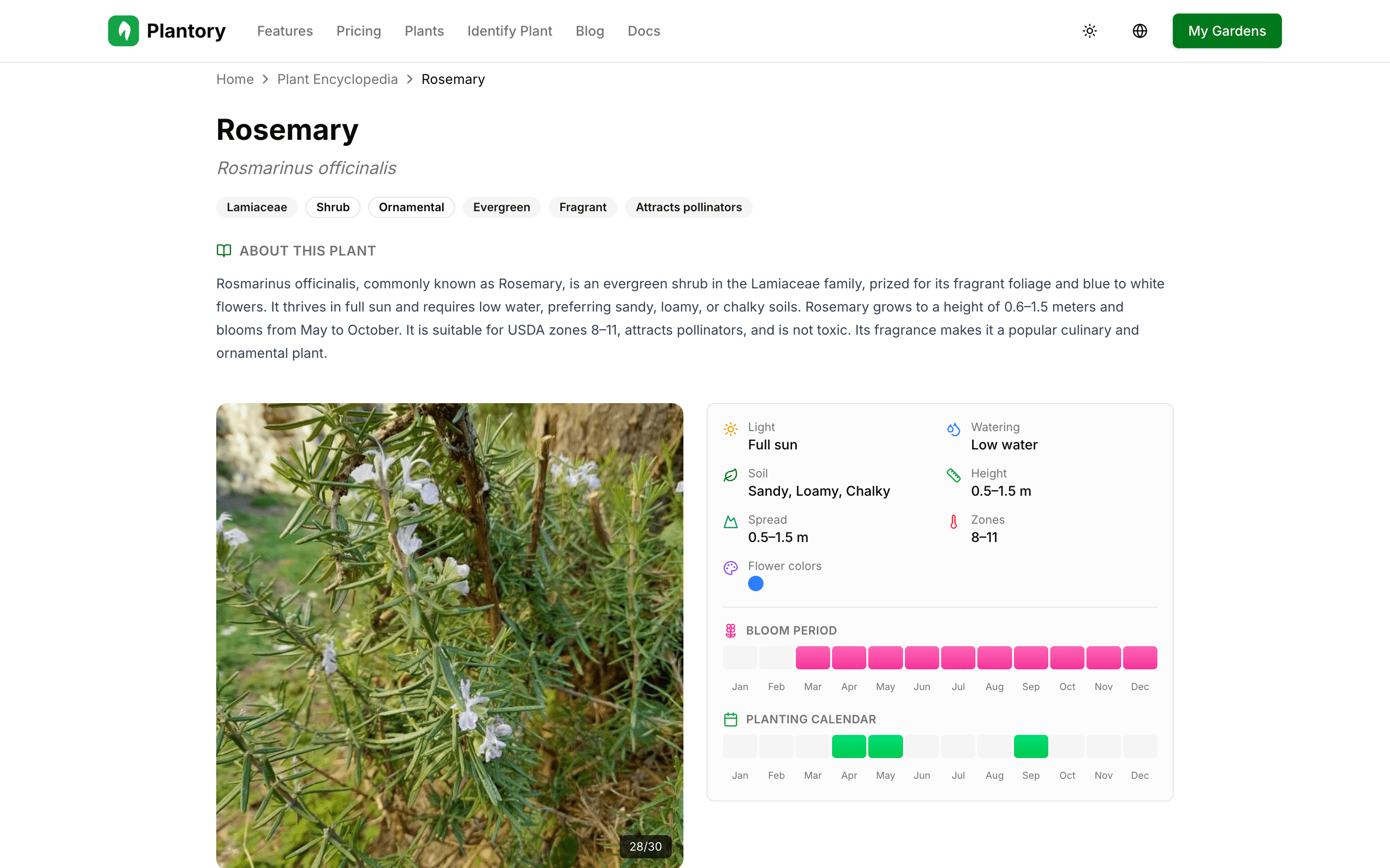 Detailní stránka rostliny s informacemi o péči